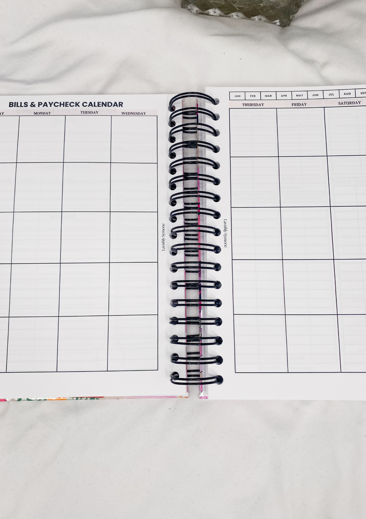 Financial Mindset Budget Planner | Money Icon Theme